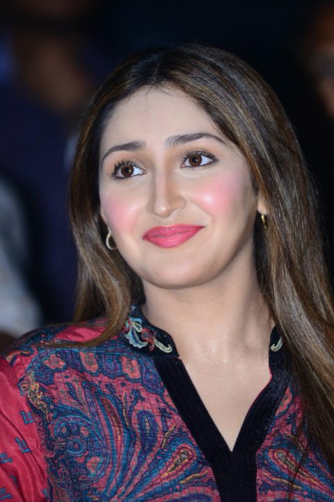 Sayyeshaa Saigal at Bandobast Movie Pre Release