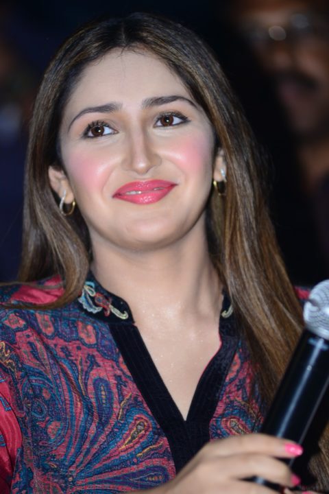 Sayyeshaa Saigal at Bandobast Movie Pre Release