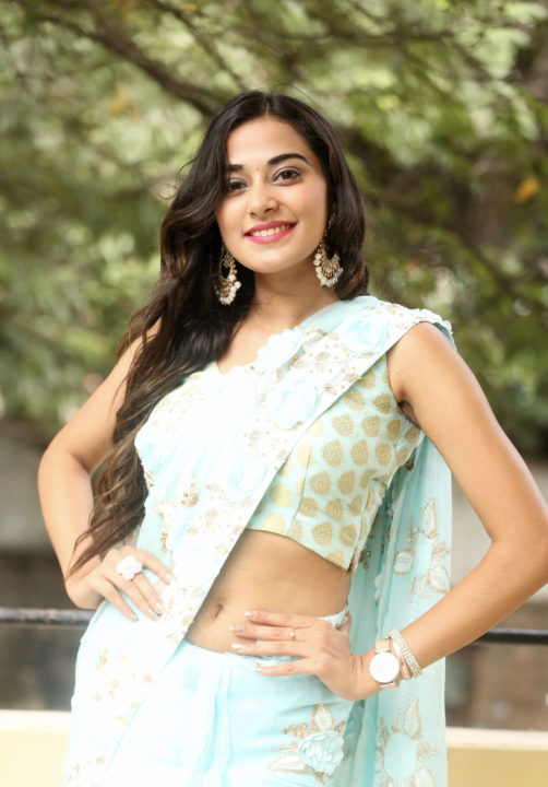 Stefy Patel saree stills at Ninnu Thalachi Movie Press Meet