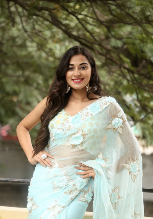 Stefy Patel saree stills at Ninnu Thalachi Movie Press Meet