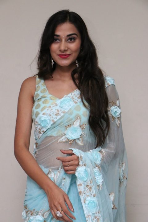 Stefy Patel saree stills at Ninnu Thalachi Movie Press Meet