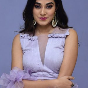 Previous Image