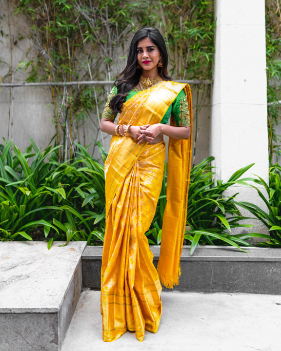 Nabha Natesh Saree stills by Daniel Chinta