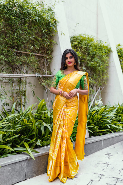 Nabha Natesh Saree stills by Daniel Chinta