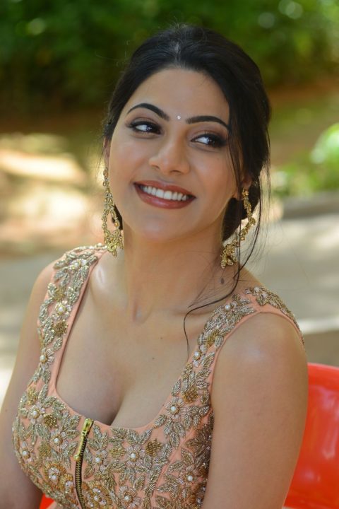 Nikki Tamboli hot stills at Thippara Meesam movie press meet