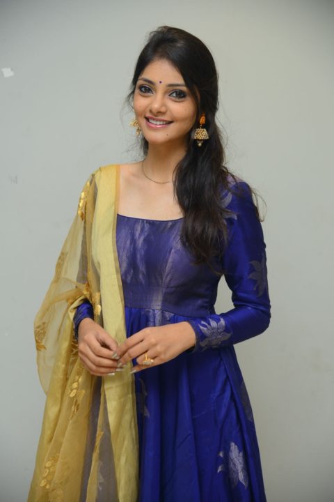 Rahasya Gorak photos at Raja Vaaru Rani Gaaru Press Meet