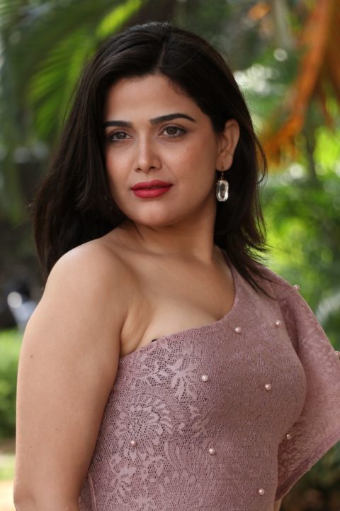 Ayesha Singh at Yedu Chepala Katha Press Meet