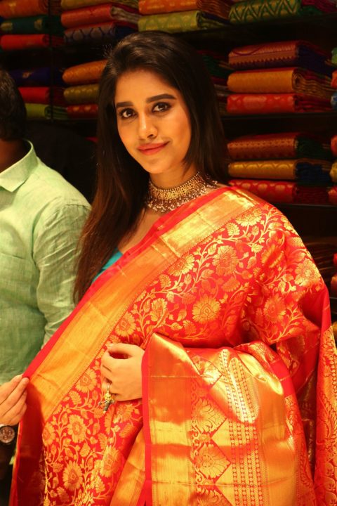 Nabha Natesh silk saree stills at Srika Shopping Mall launch