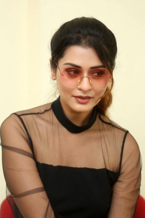 Payal Rajput stills at RDX Love movie interview