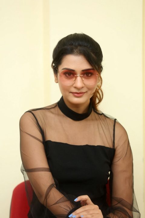 Payal Rajput stills at RDX Love movie interview