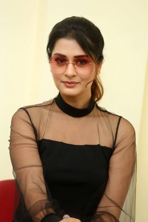 Payal Rajput stills at RDX Love movie interview