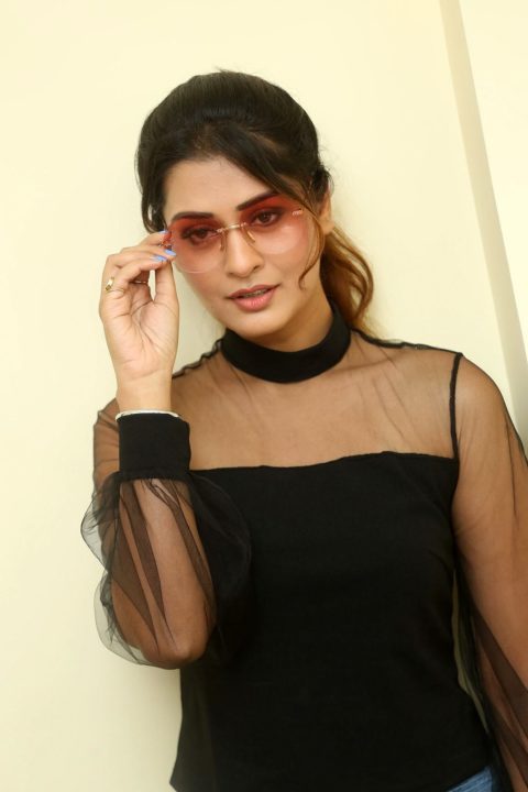 Payal Rajput stills at RDX Love movie interview