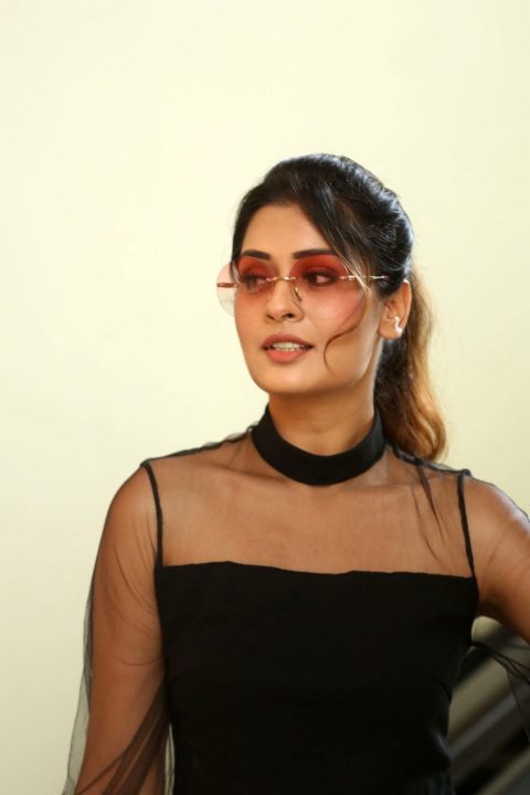 Payal Rajput stills at RDX Love movie interview