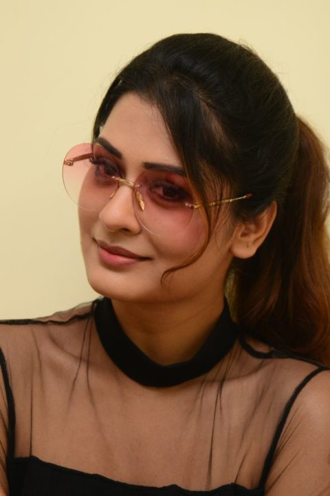 Payal Rajput stills at RDX Love movie interview