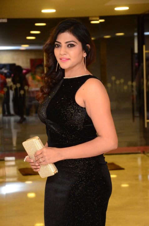 Lahari Shari Photos at Thippara Meesam Movie Pre Release Event