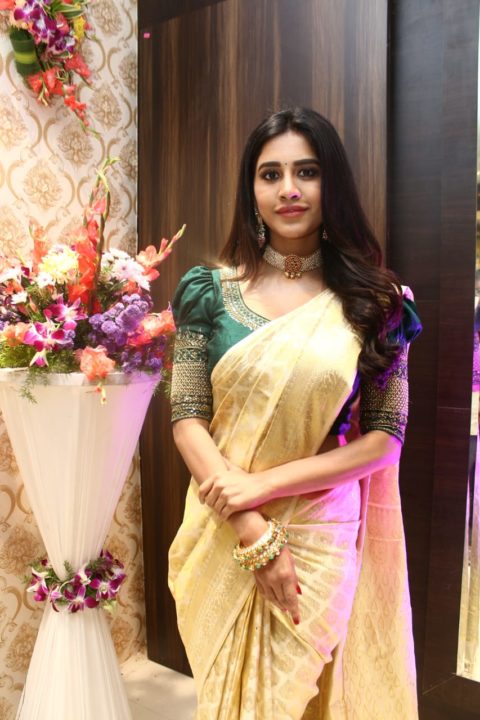 Nabha Natesh saree stills at Sri Kanchi Alankar Silks Launch