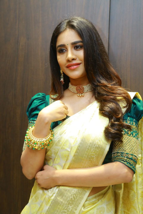 Nabha Natesh saree stills at Sri Kanchi Alankar Silks Launch