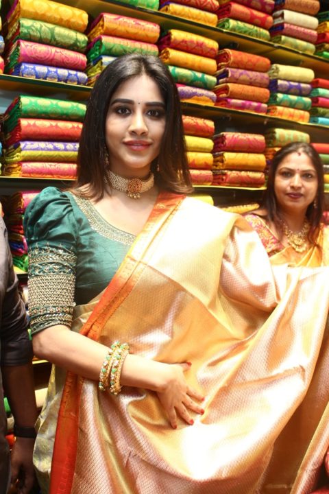 Nabha Natesh saree stills at Sri Kanchi Alankar Silks Launch