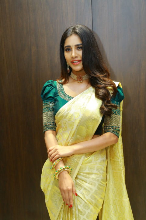 Nabha Natesh saree stills at Sri Kanchi Alankar Silks Launch