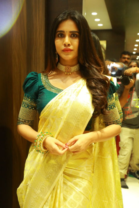 Nabha Natesh saree stills at Sri Kanchi Alankar Silks Launch