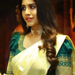 Previous Image