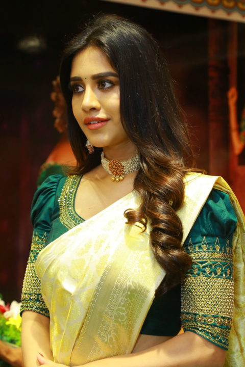 Nabha Natesh saree stills at Sri Kanchi Alankar Silks Launch