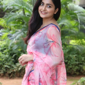 Previous Image
