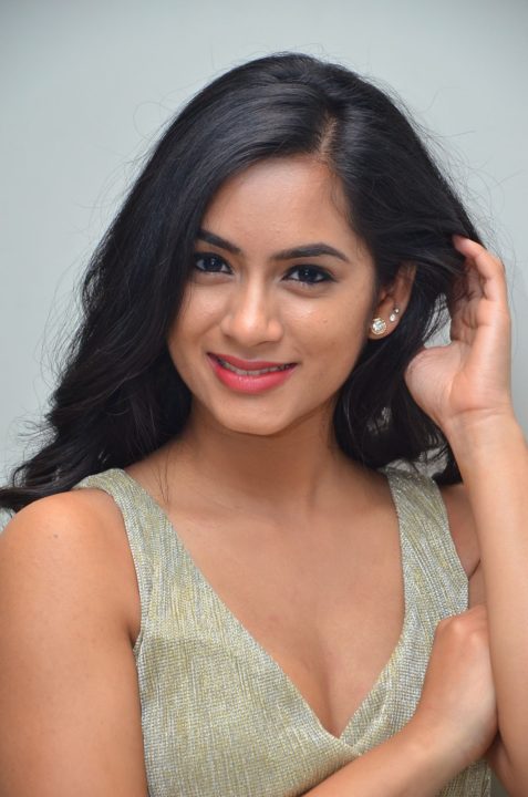 Neha Krishna at Valliddari Madhya Press Meet