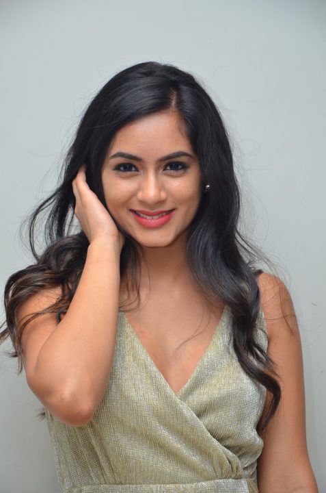 Neha Krishna at Valliddari Madhya Press Meet