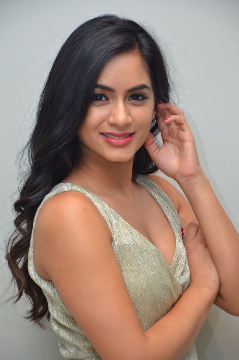 Neha Krishna at Valliddari Madhya Press Meet