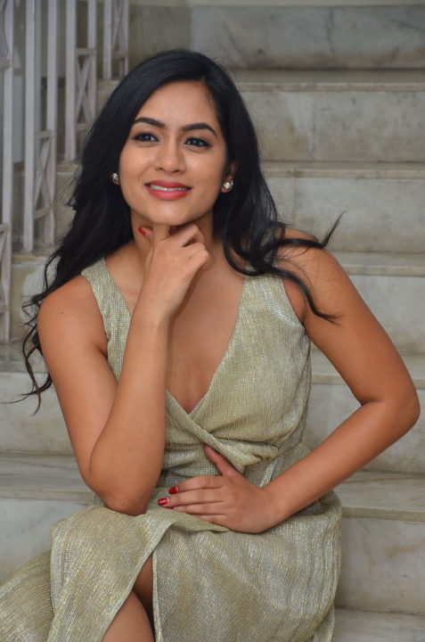 Neha Krishna at Valliddari Madhya Press Meet