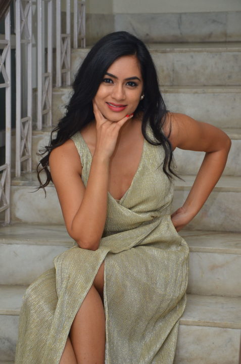 Neha Krishna at Valliddari Madhya Press Meet