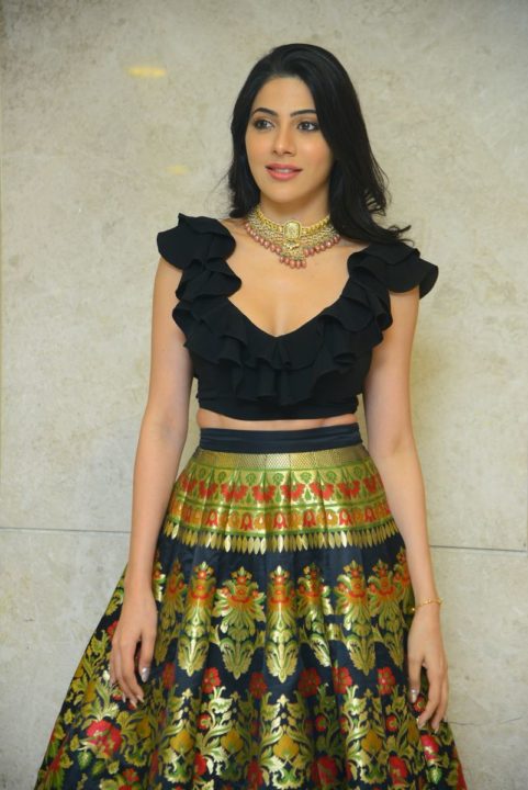 Nikki Tamboli at Thippara Meesam Pre-Release Event