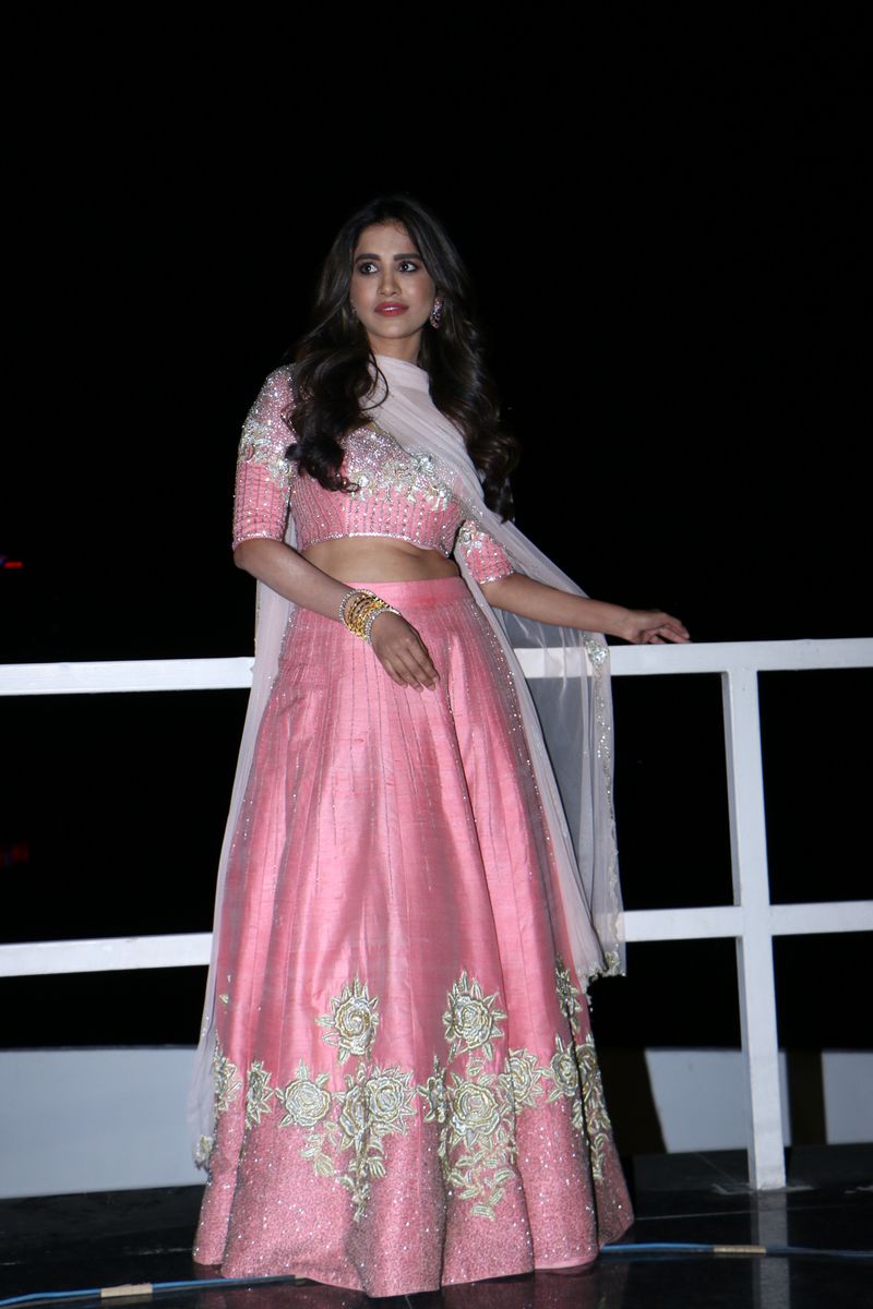 Nabha Natesh at Disco Raja Pre-Release