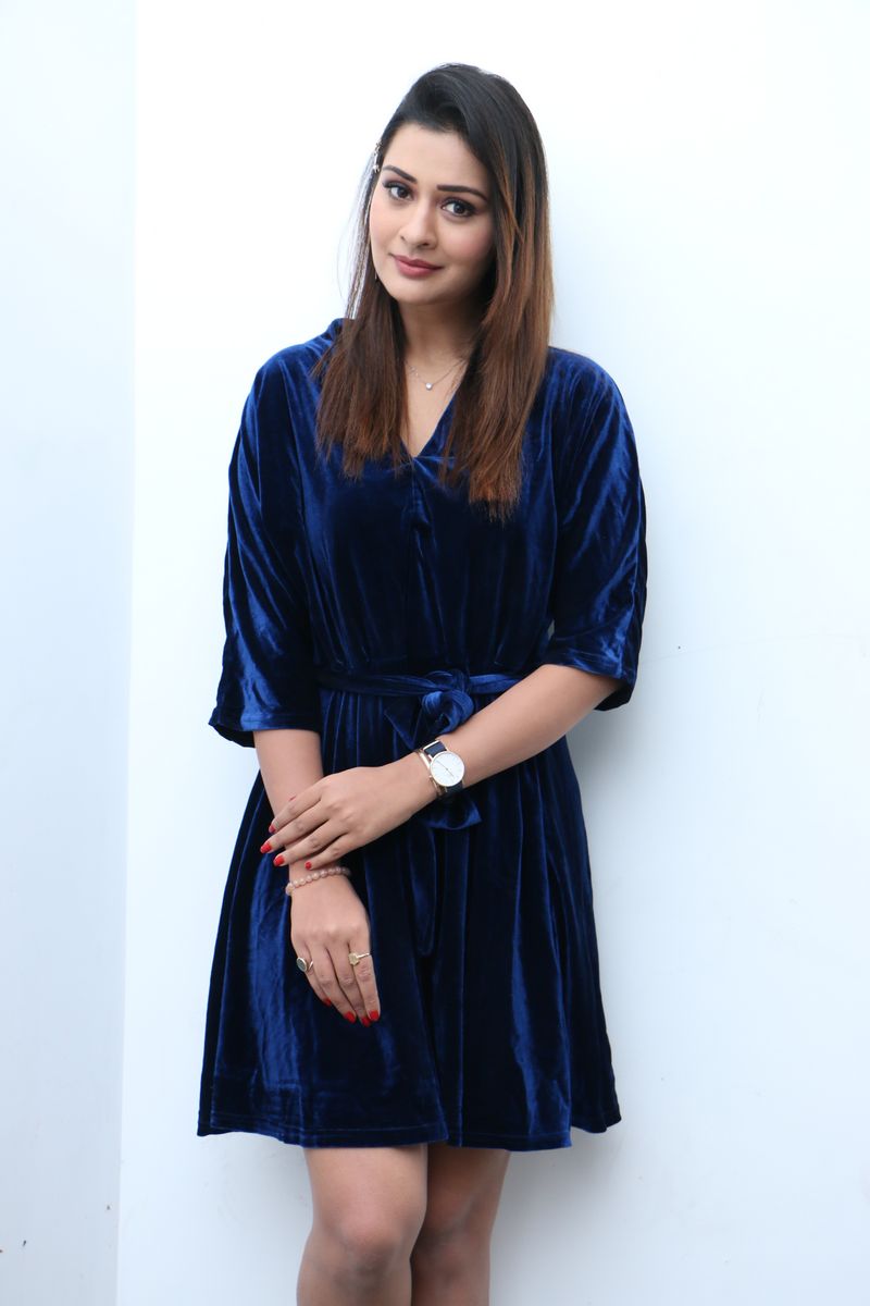 Payal Rajput stills at Disco Raja movie interview