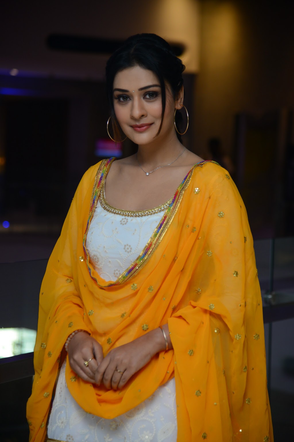 Payal Rajput stills at Disco Raja Success Meet