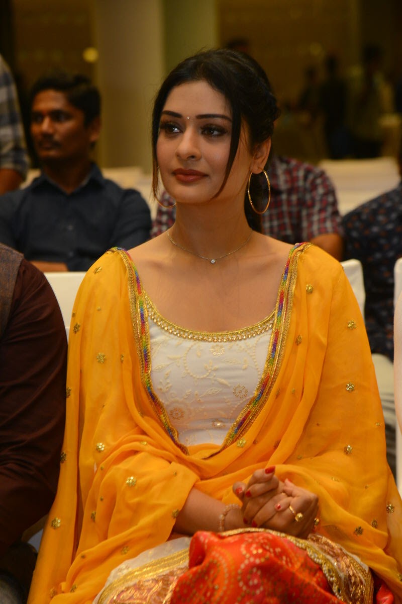 Payal Rajput stills at Disco Raja Success Meet