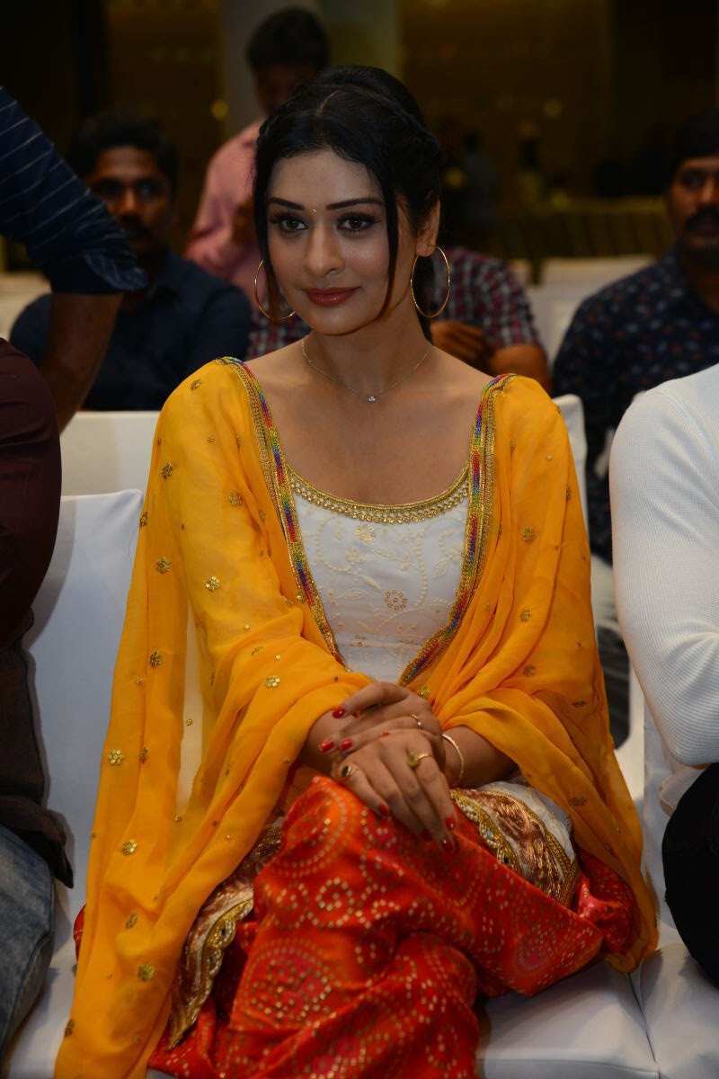 Payal Rajput stills at Disco Raja Success Meet