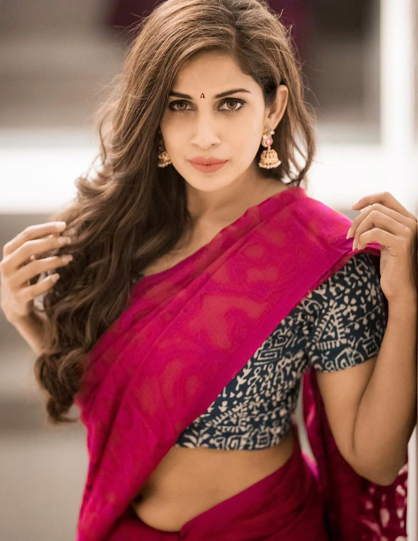 Samyuktha hot saree stills - South Indian Actress