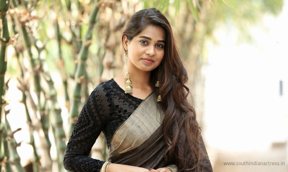 Lakshmi Jay in handloom saree stills