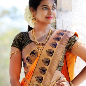 Dharsha Gupta saree photos