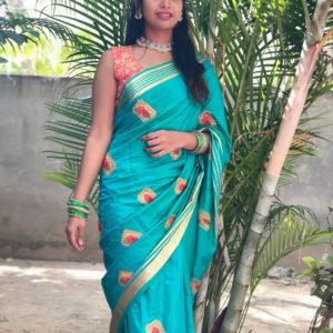 Dharsha Gupta saree photos