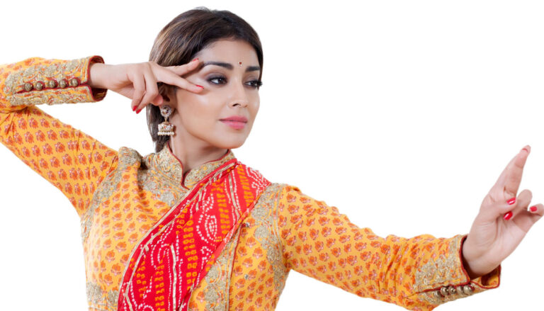 indian train model for sale