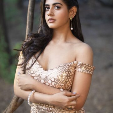 Previous Image