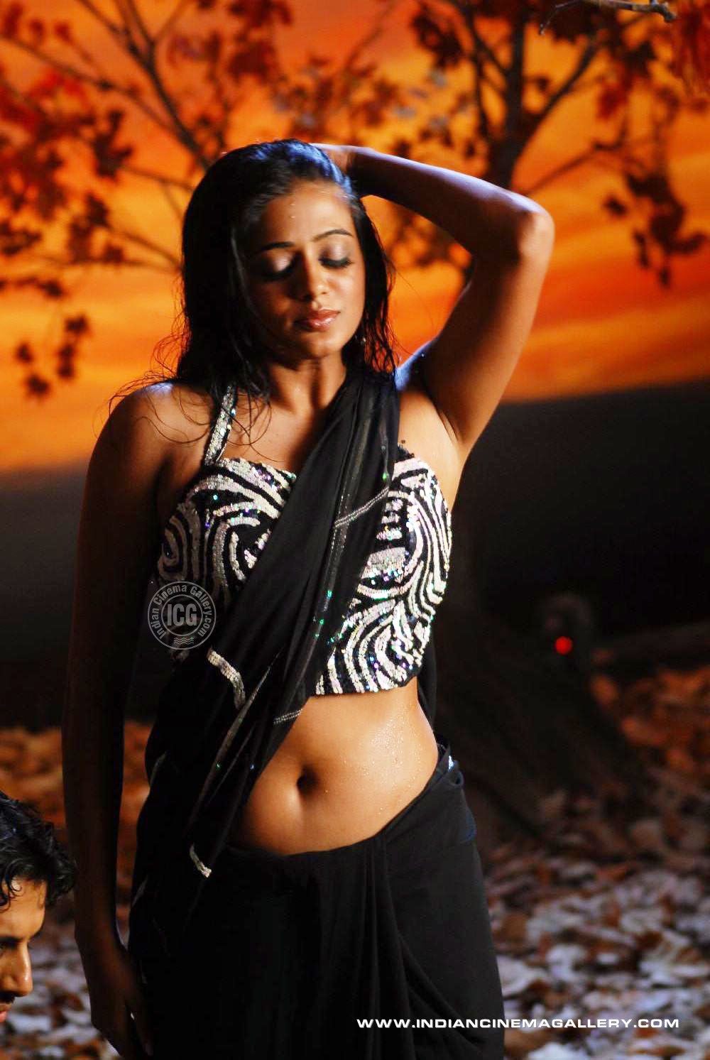 Priyamani Hot Navel Photos South Indian Actress
