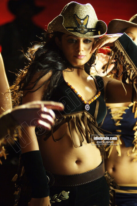 Priyamani hot navel photos