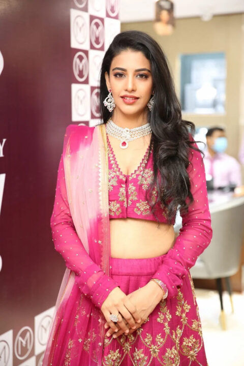 Daksha Nagarkar in pink lehenga stills