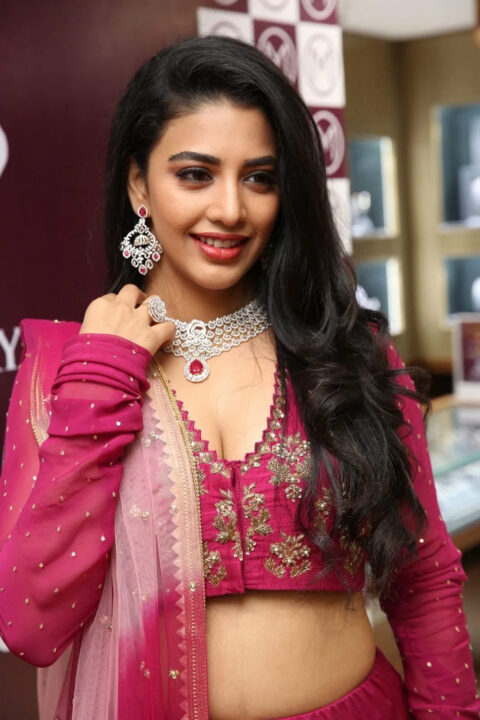 Daksha Nagarkar in pink lehenga stills