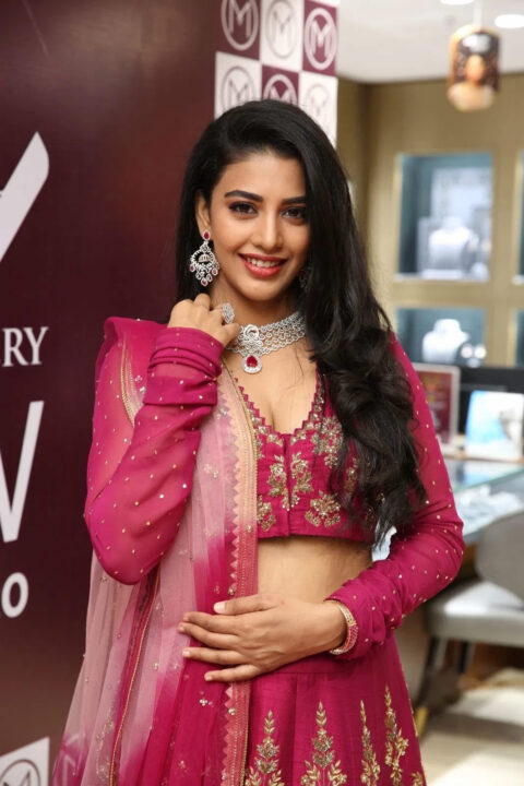 Daksha Nagarkar in pink lehenga stills