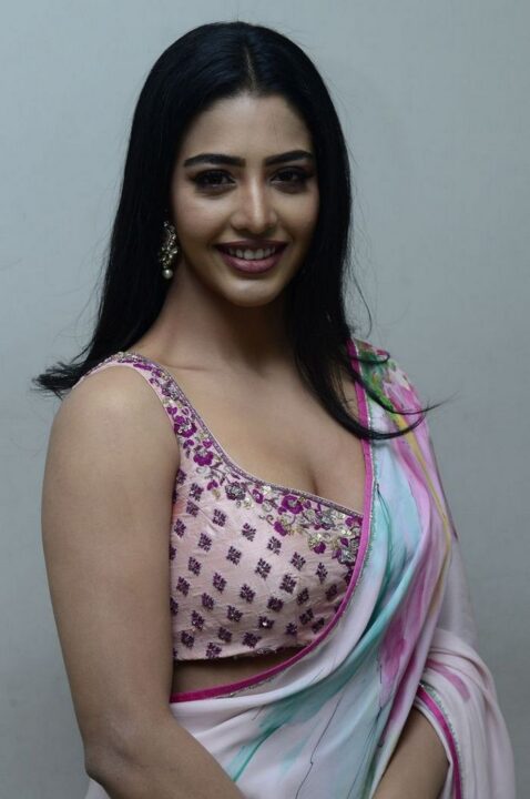 Daksha Nagarkar in saree stills at Zombie Reddy Movie Teaser Launch